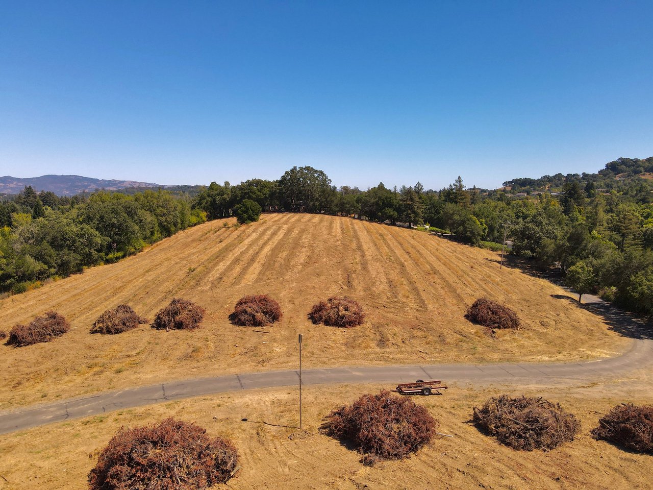 Tambor Vineyard Estate