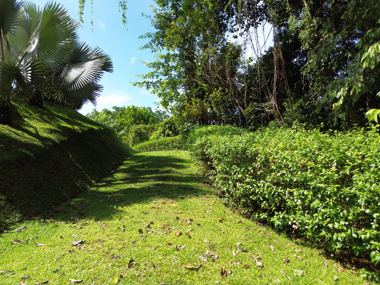 FIRE SALE - Cano Island & Ocean Views, w/Approved Building Plans