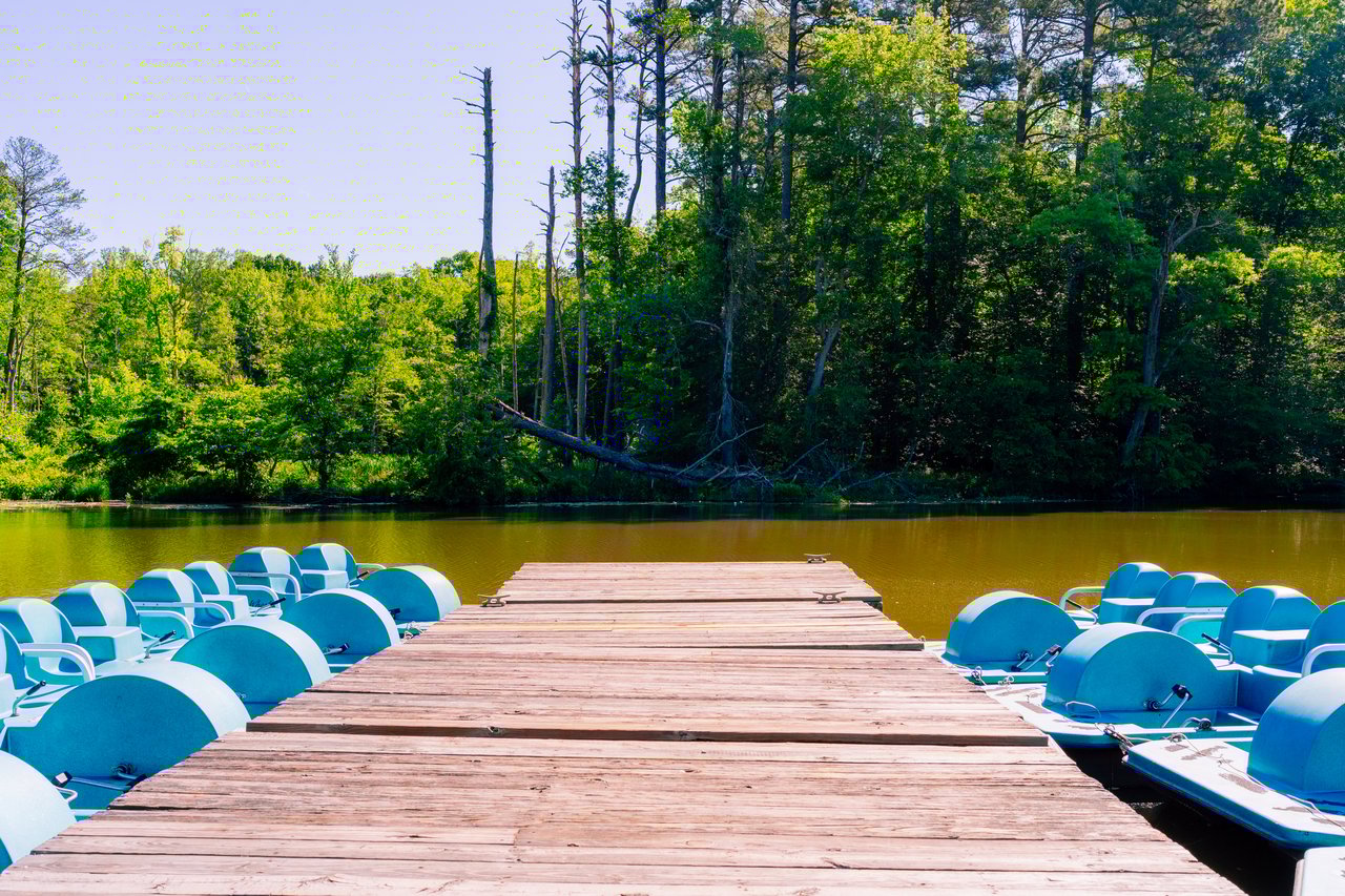 The Gardens At Bellgrade