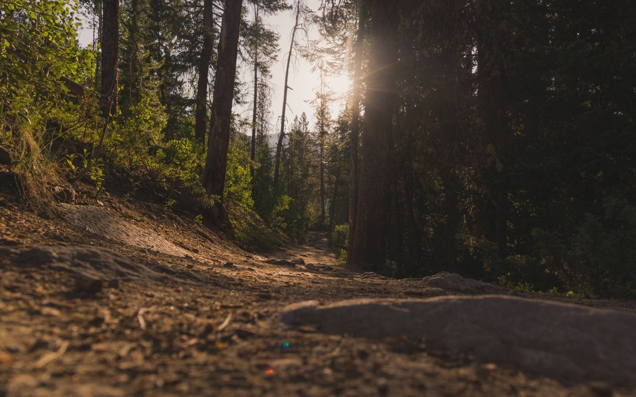 Find Joy on the Trails at Meyer Ranch
