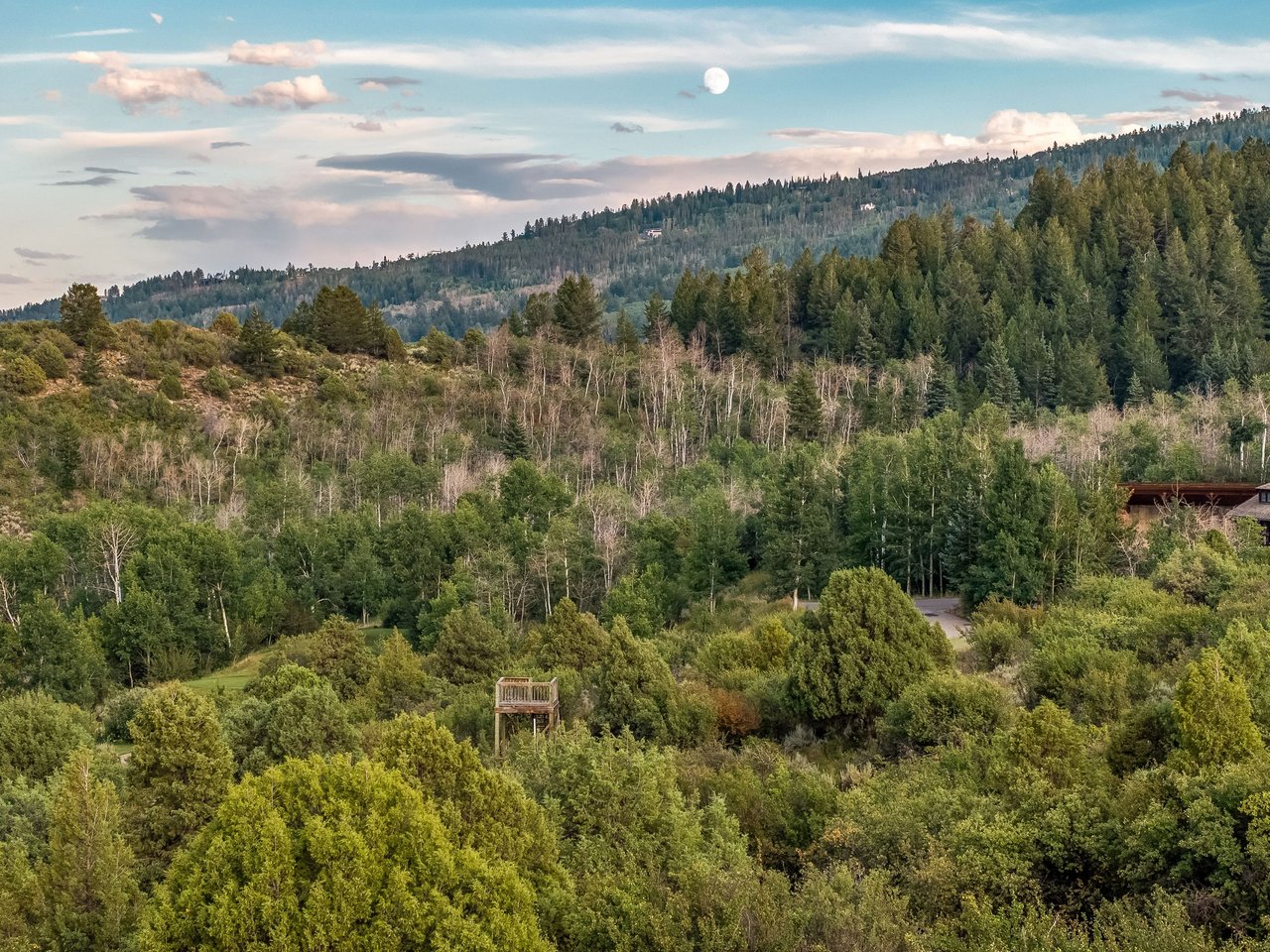 217 Saddle Rock