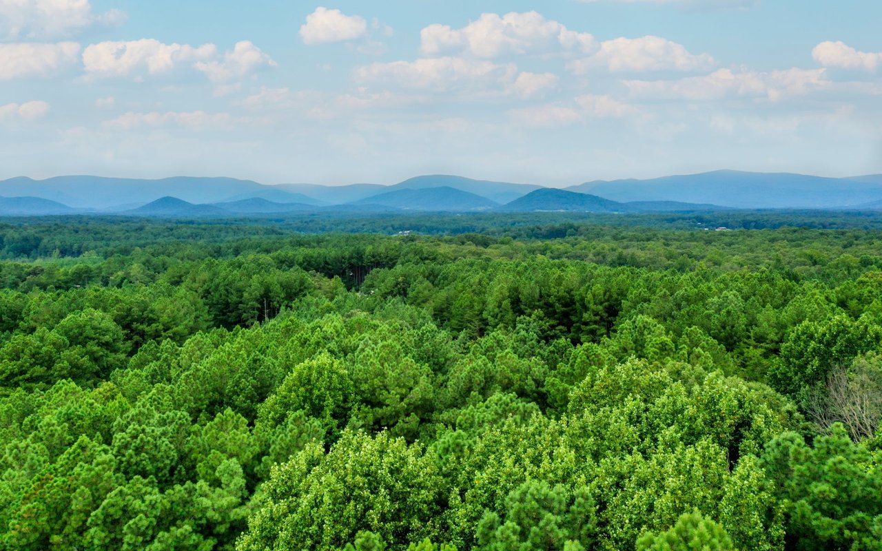 Earlysville Albemarle County