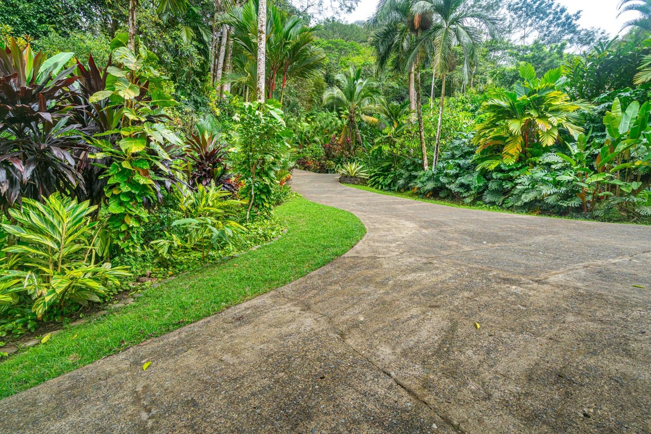 Ocean, jungle & mountain views on a meticulously landscaped 3-home family compound