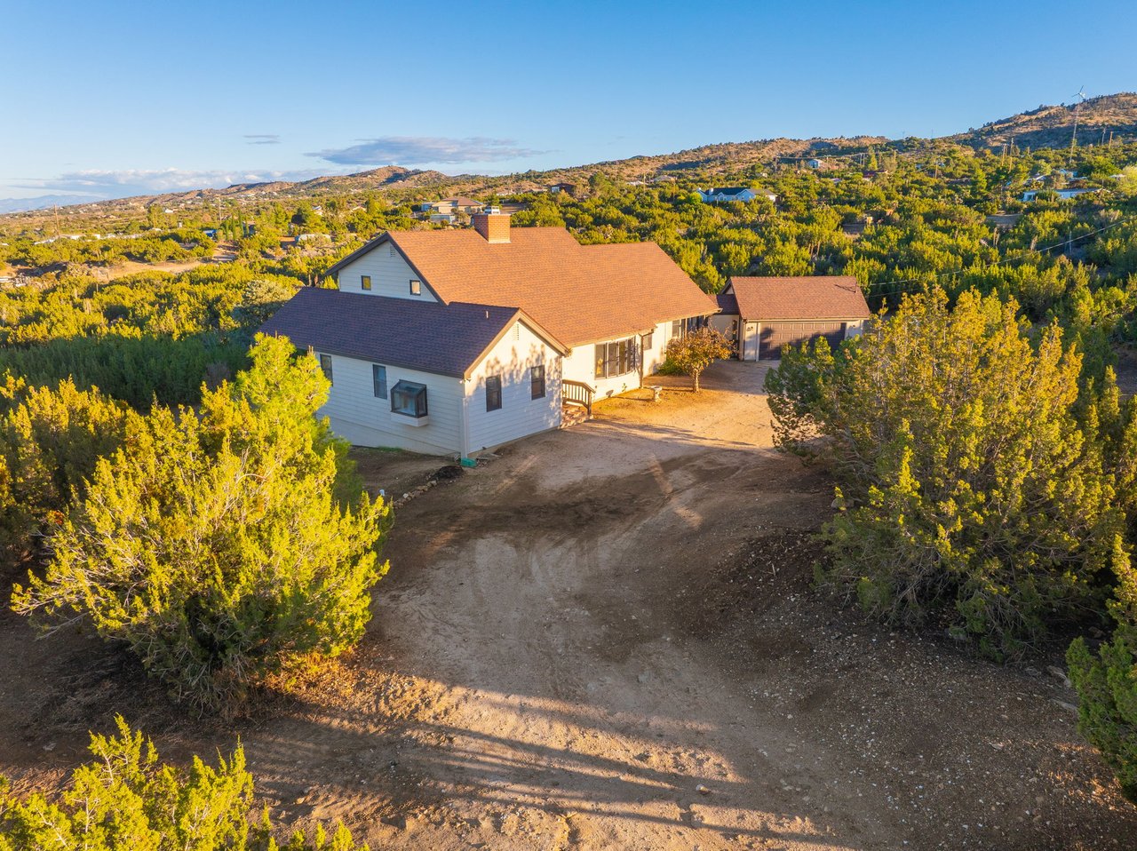 9025 Pine Tree