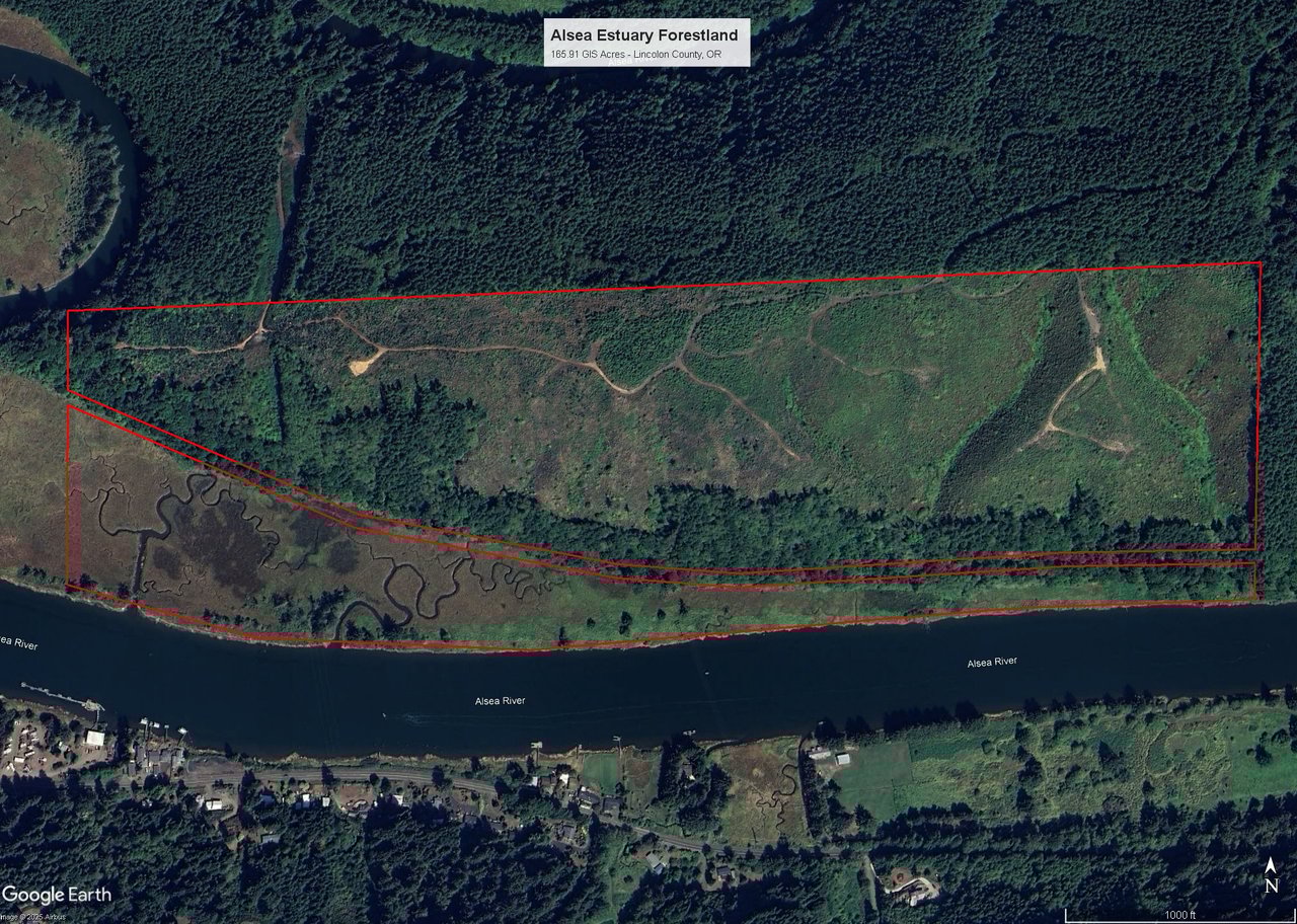 Alsea Estuary Forestland