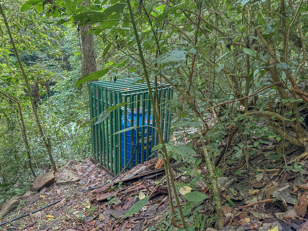 A Huge Rainforest, River & Waterfall Property With TWO Mountain & Jungle-View Luxury Homes on a Massive 4.93 Acre Lot – PLUS an Additional Plantel ready for Development