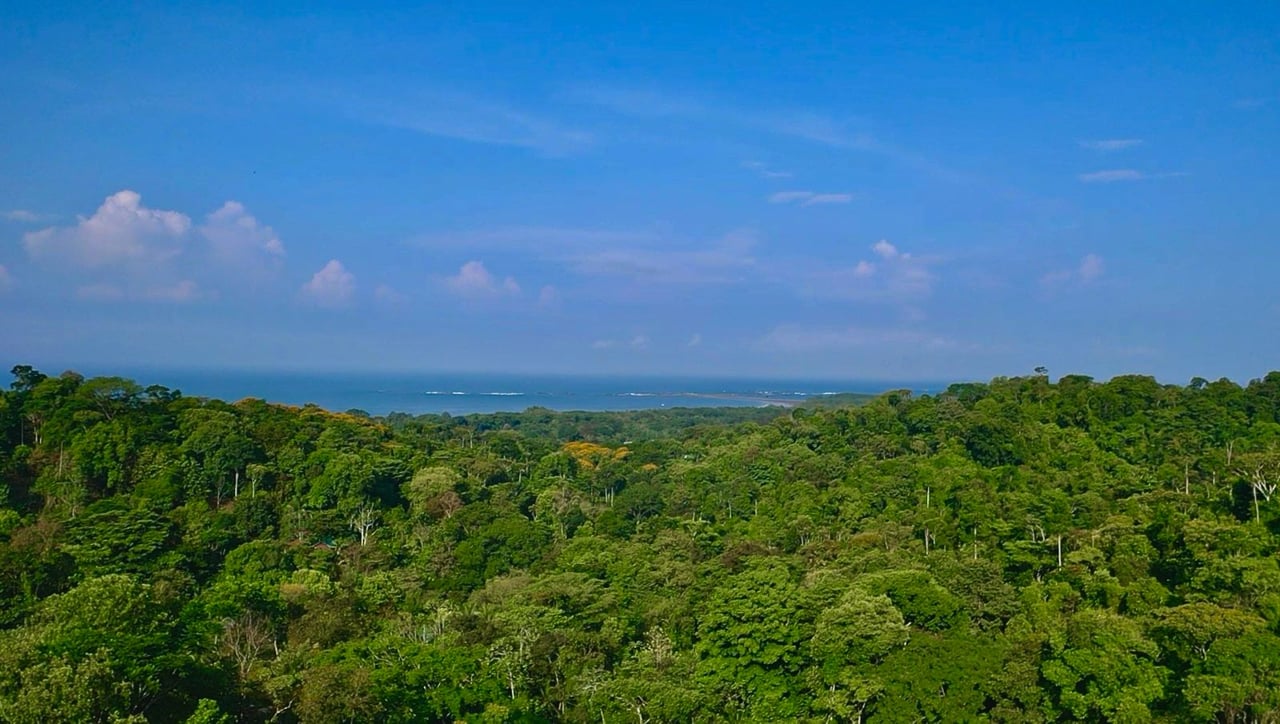 Prime Ocean and Whale tail View Development Land In Uvita