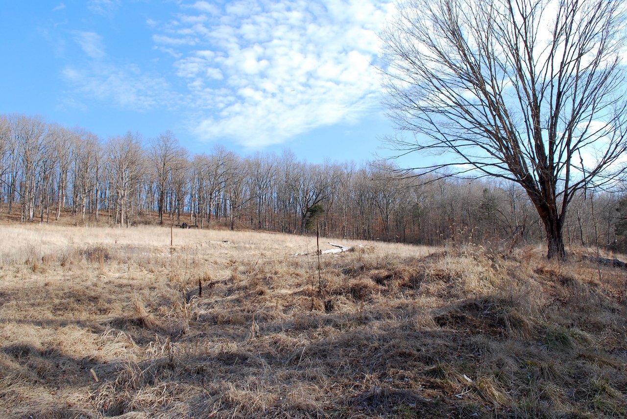 618 Wengler Road, Pacific, MO 63069