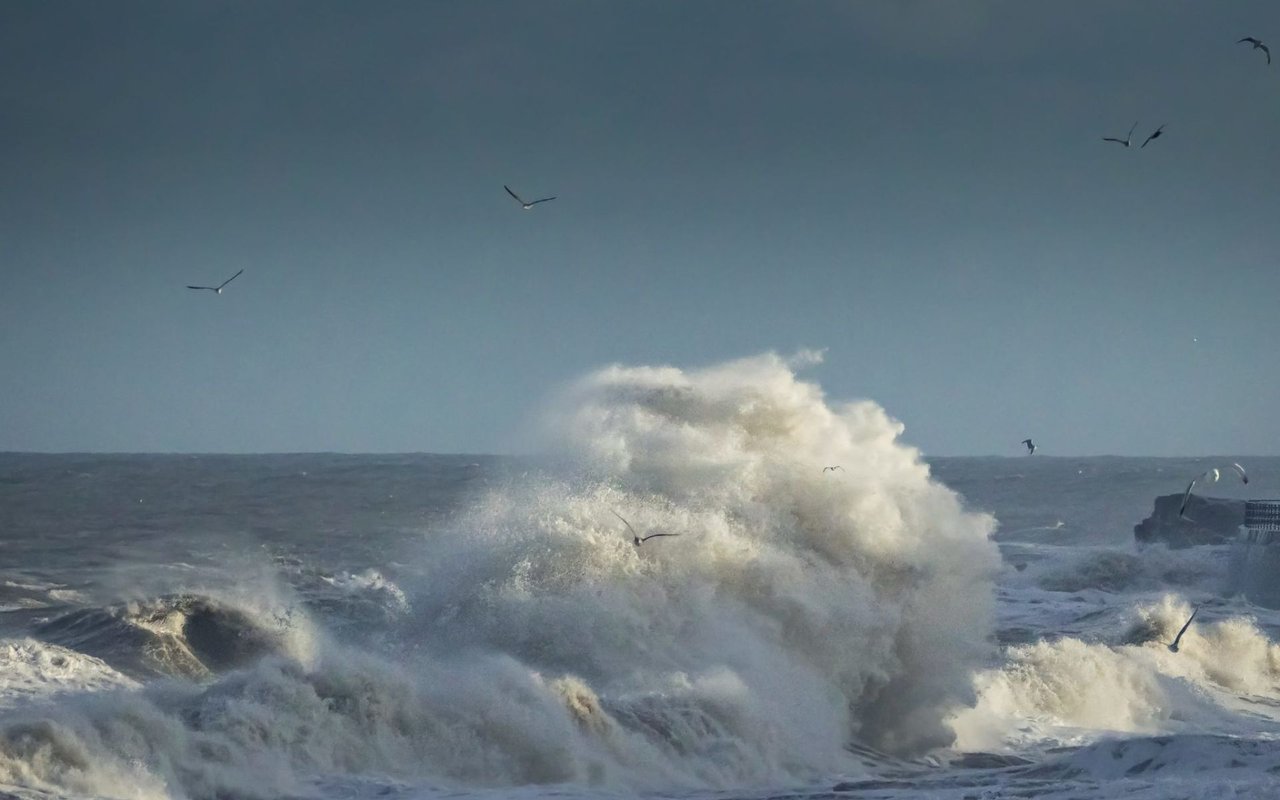 How to Prepare for Hurricane Season Along the Coast