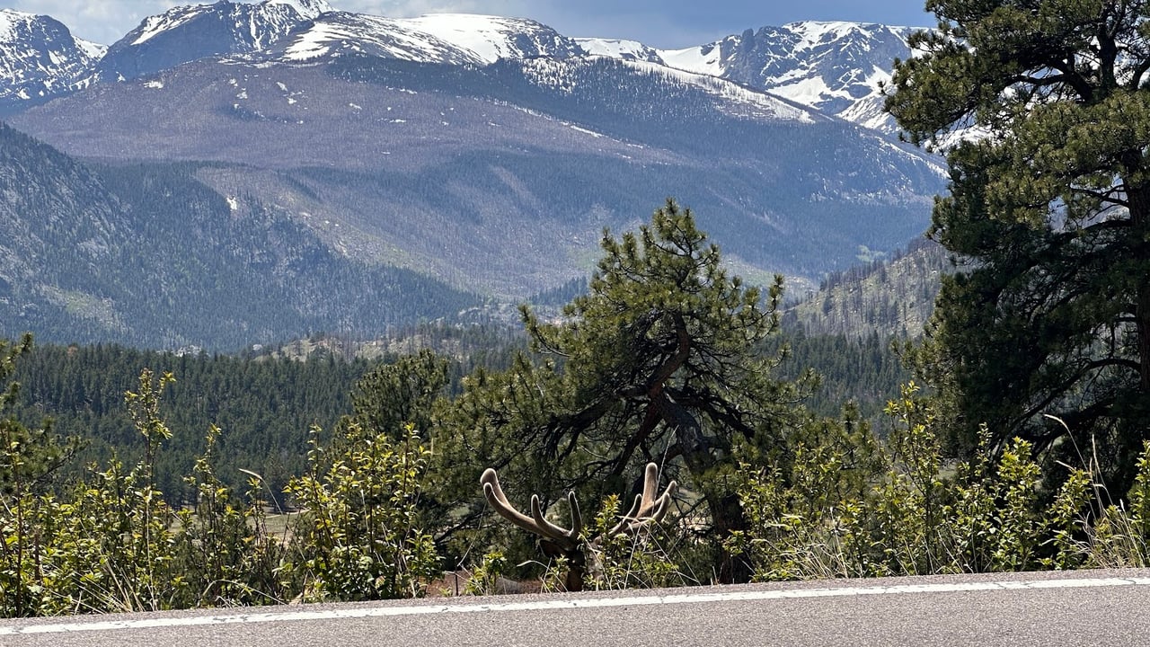 Where the Road Meets the Sky: Driving Trail Ridge Road