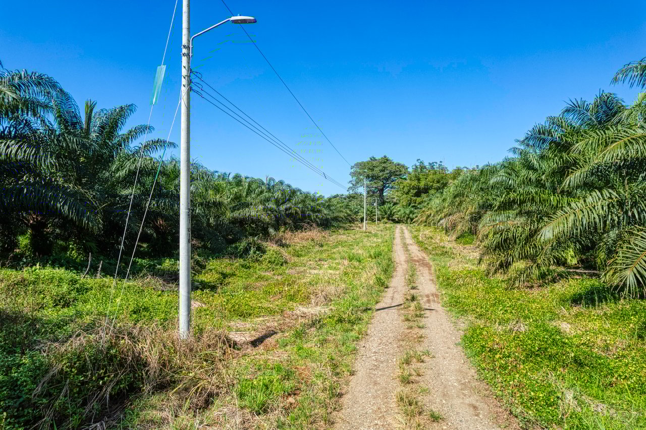 Ocean View Property in Portalon