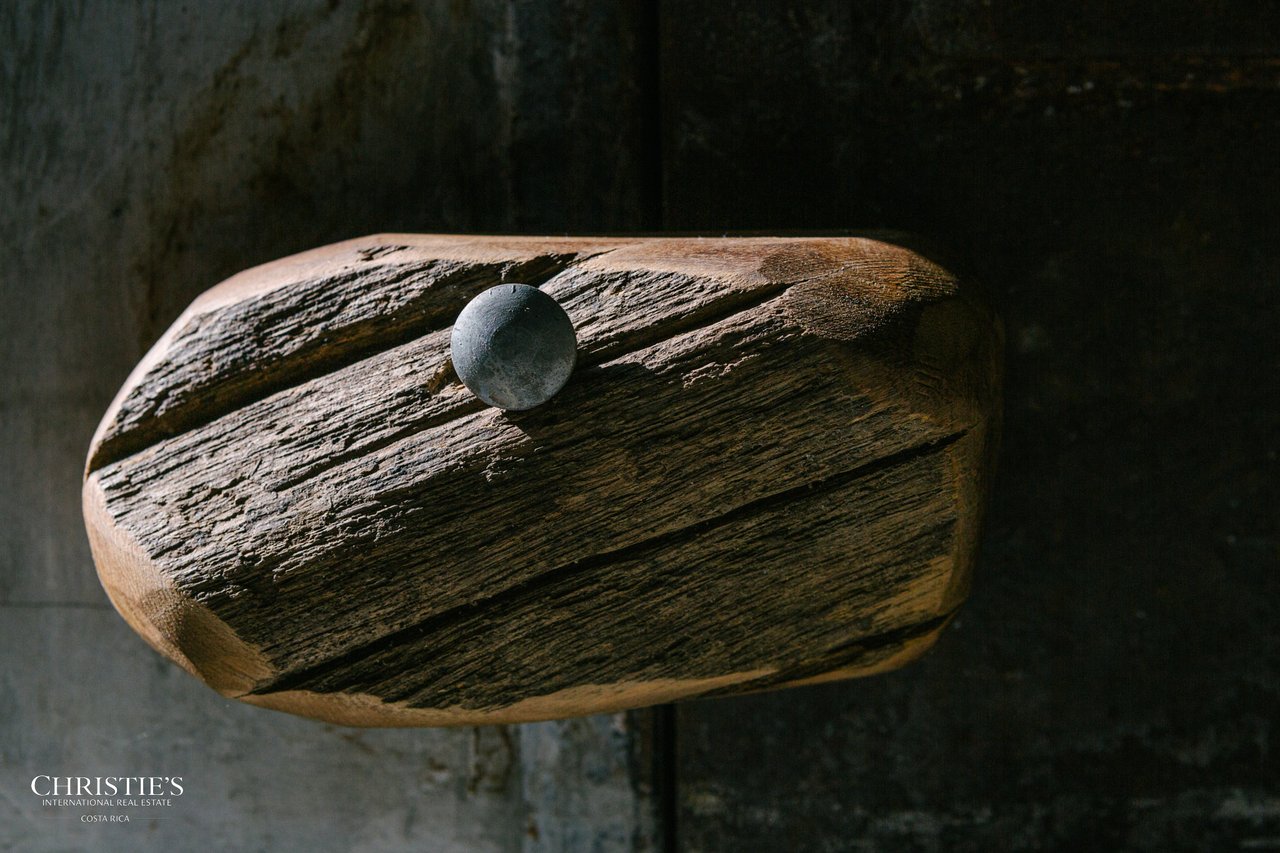 Villa Animales – Luxury Jungle Sanctuary