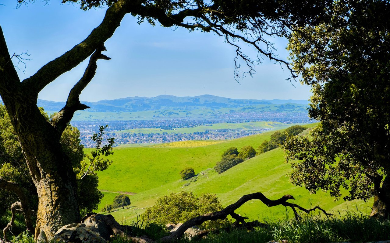 Oaks North