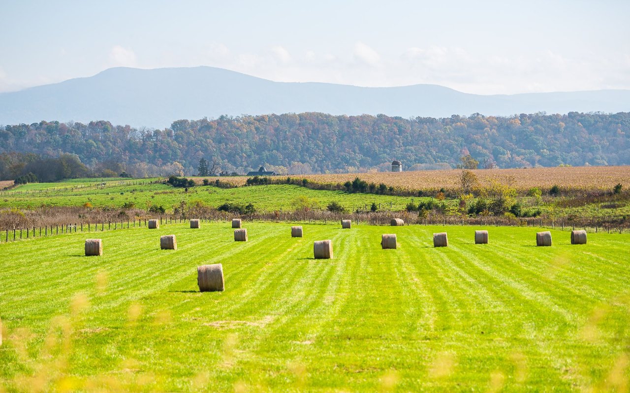 Nelson County