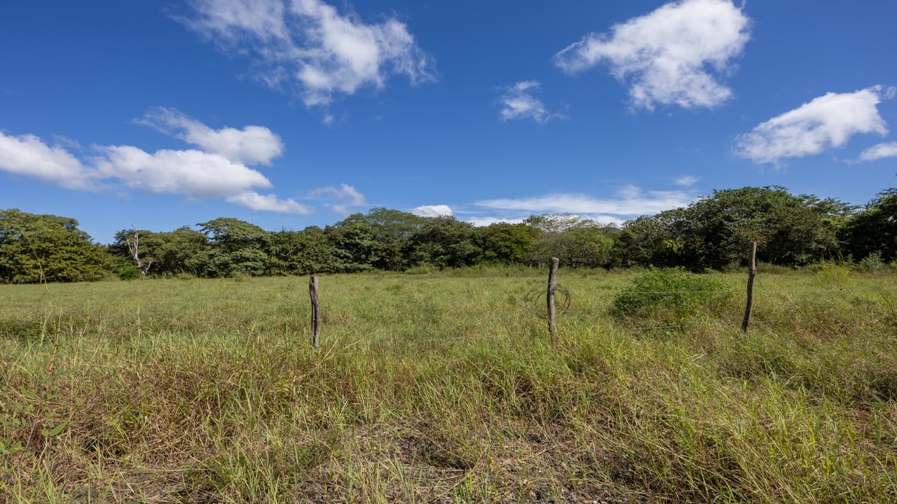Los Jobos Lot #2 | Flat 936 m² Buildable Lot Minutes from Tamarindo Beach