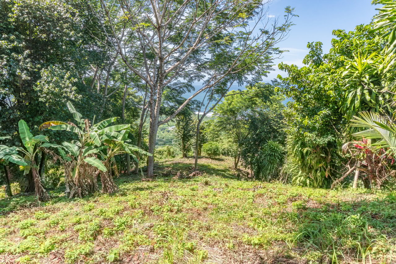 La Reserva Camaronal Lot 34