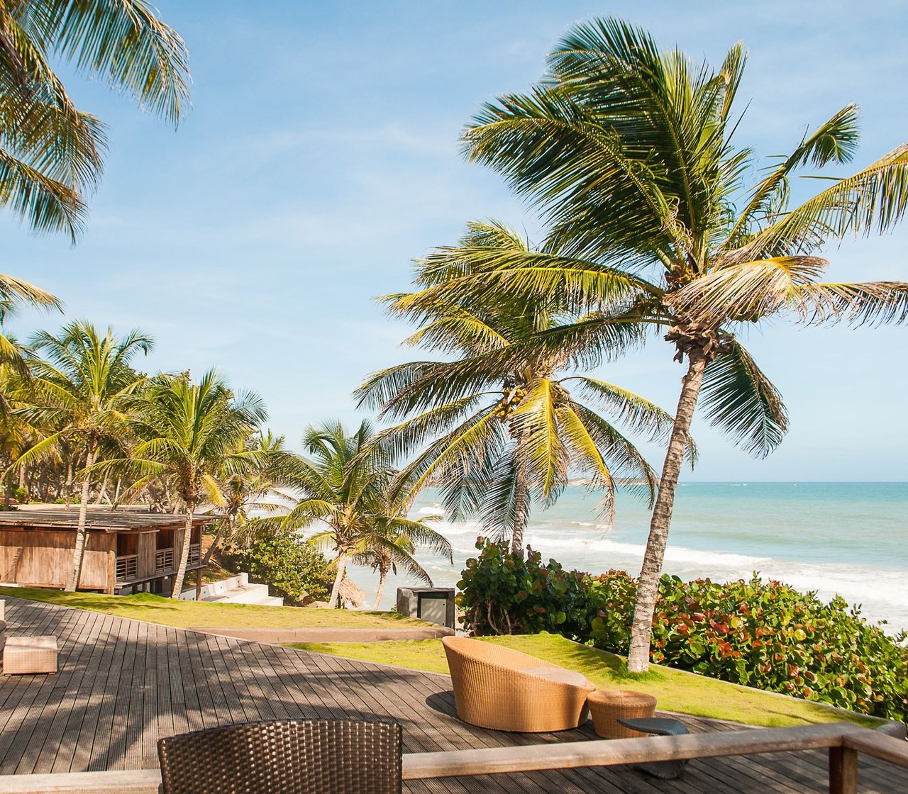 Premium Showing Assistance Program