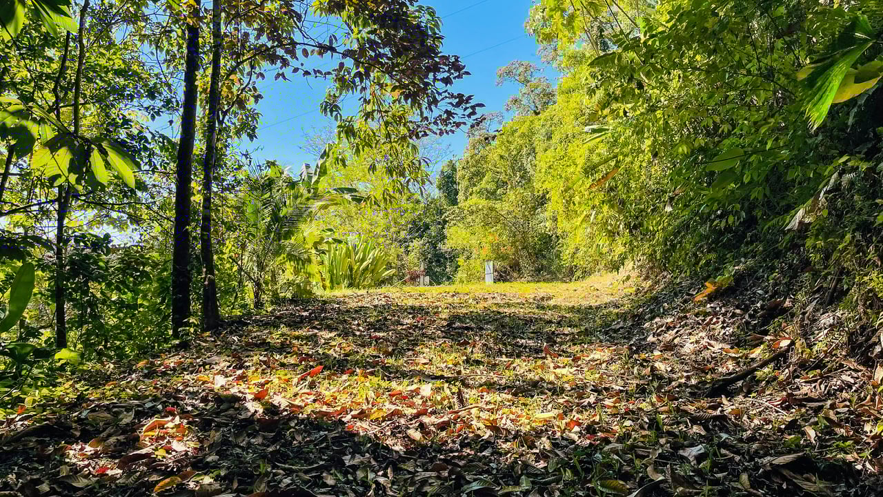 Private Mountain Sanctuary in Costa Rica awaits