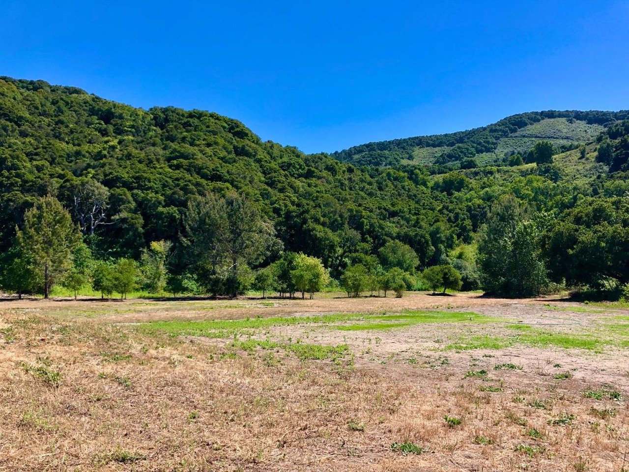 8620 River Meadows Rd