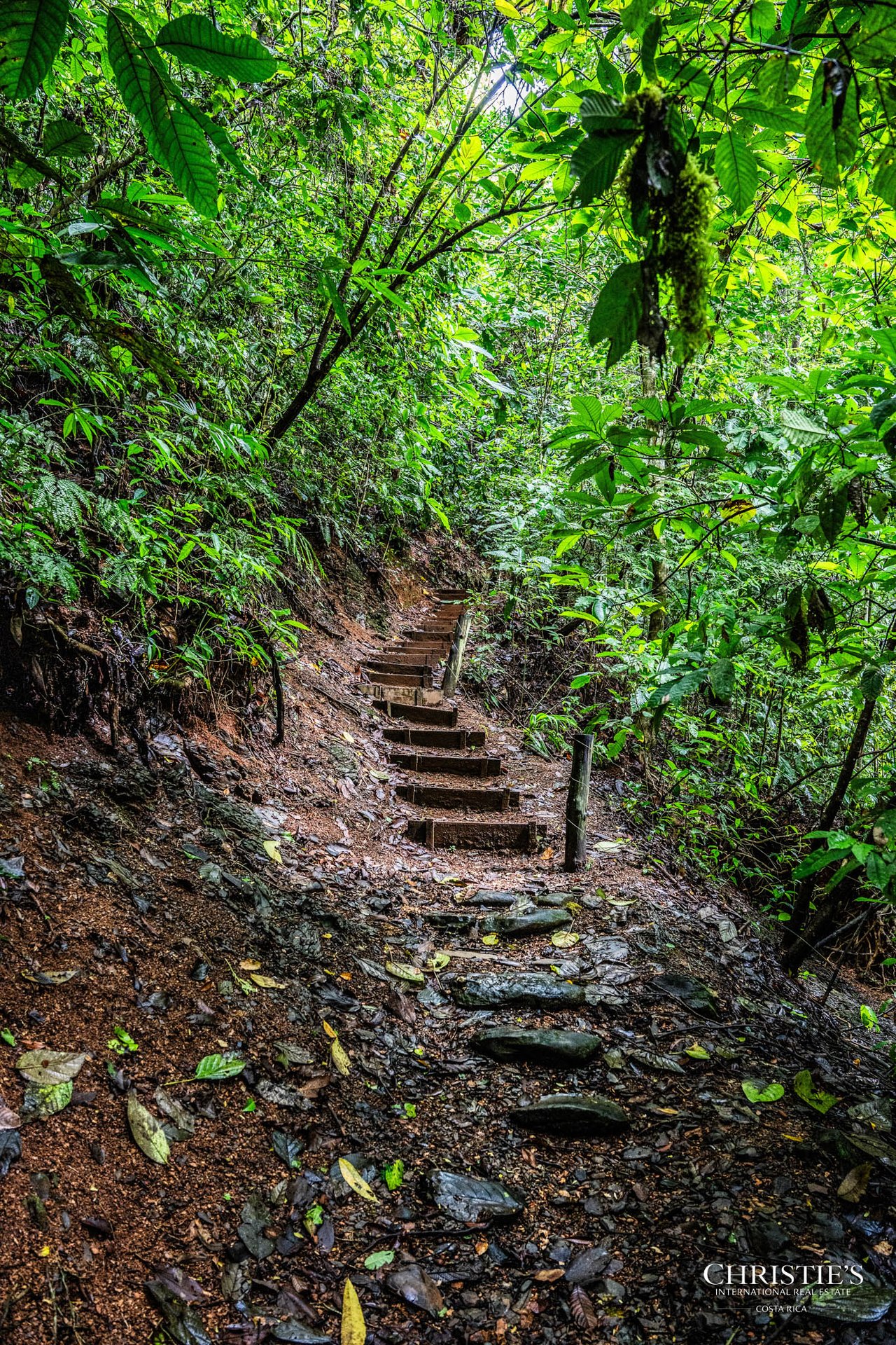 El Encanto Estate Waterfall, Regenerative Land & Carbon‑Neutral Sanctuary a Legacy Property
