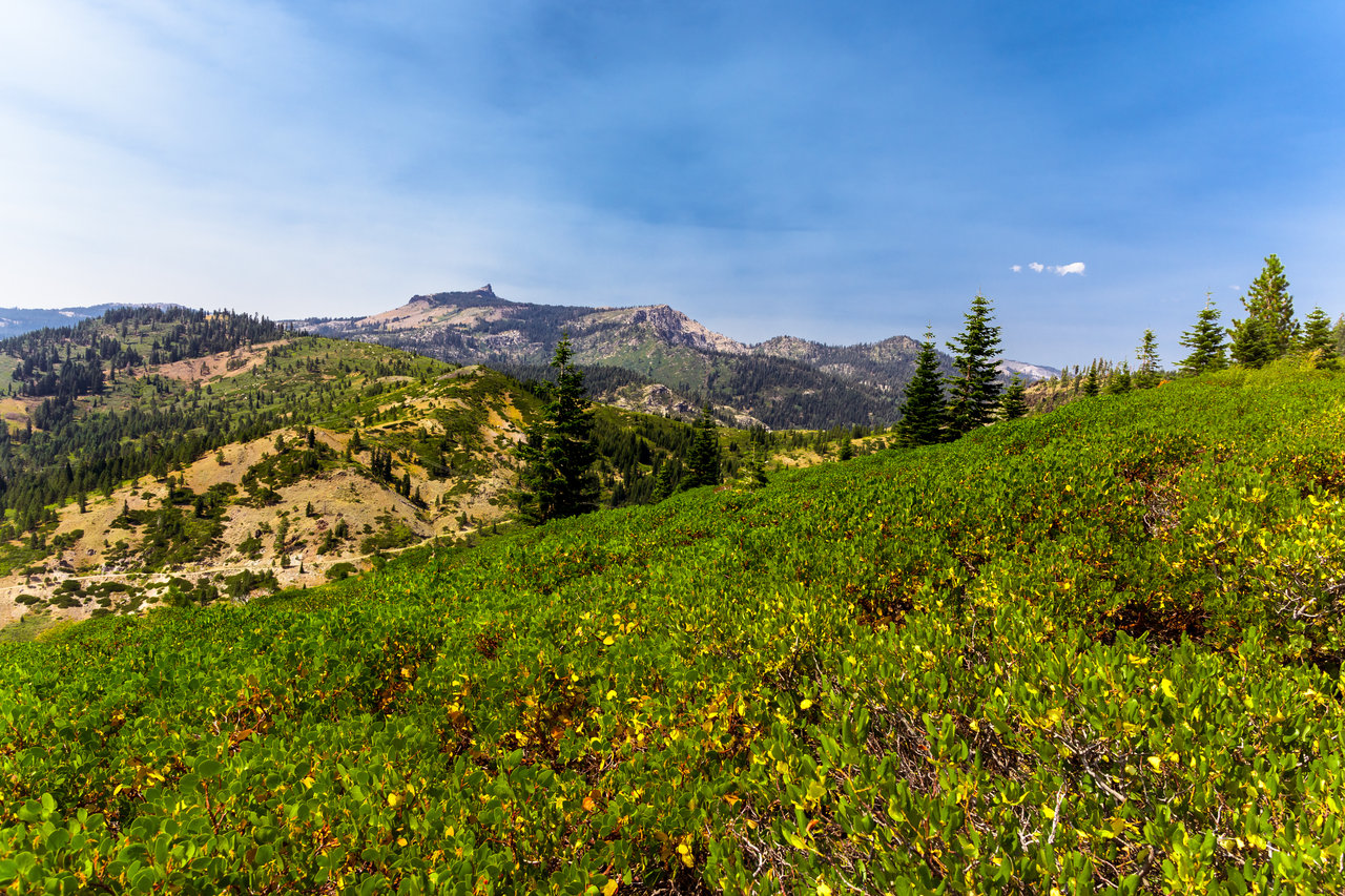 Aerial view of Truckee mountain trails, ski terrain and nearby homes.