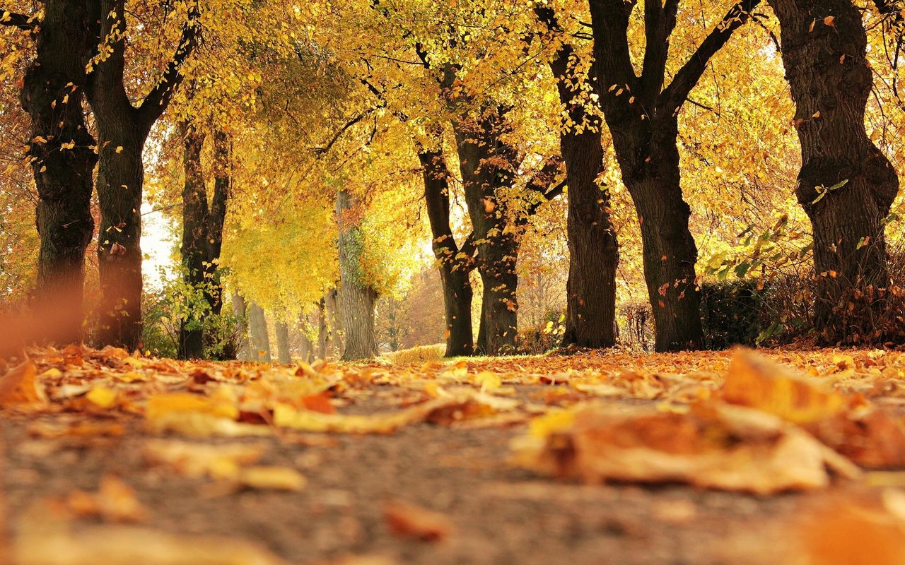 7 Fall Home Maintenance Tasks You Shouldn’t Skip