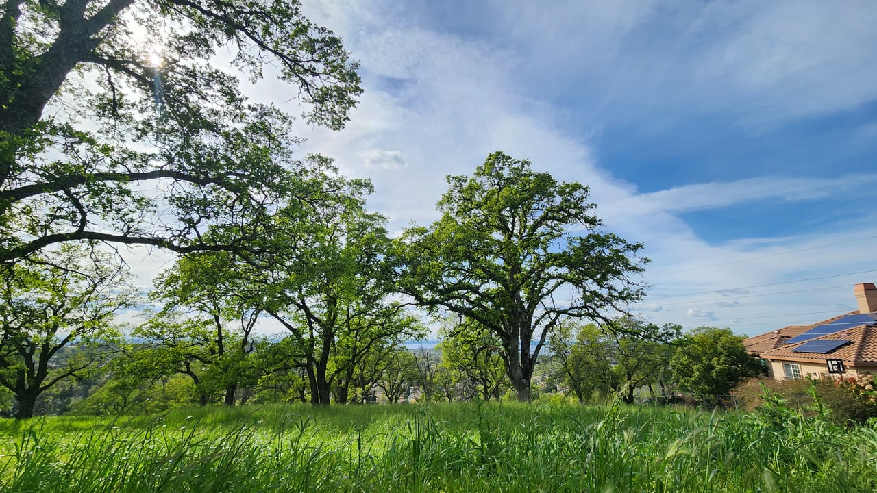 Dream Home Lot in El Dorado Hills