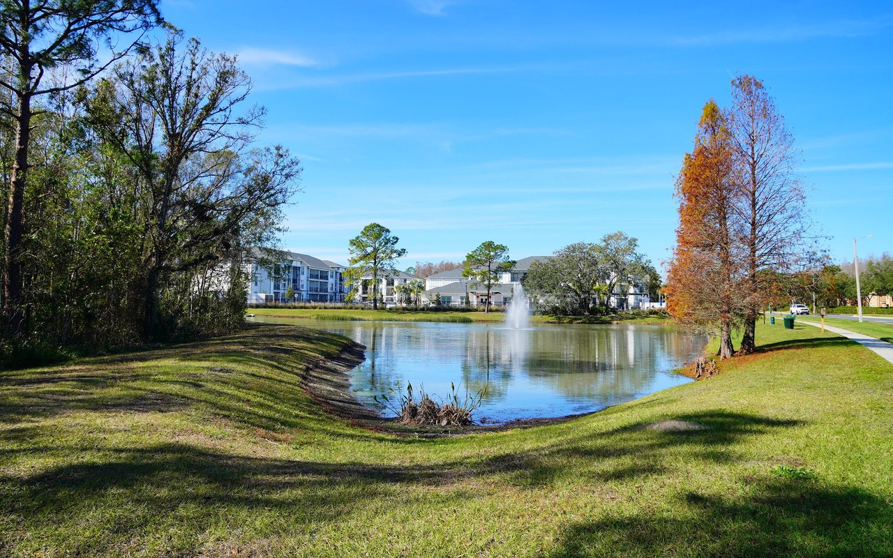 Windermere | Winter Garden