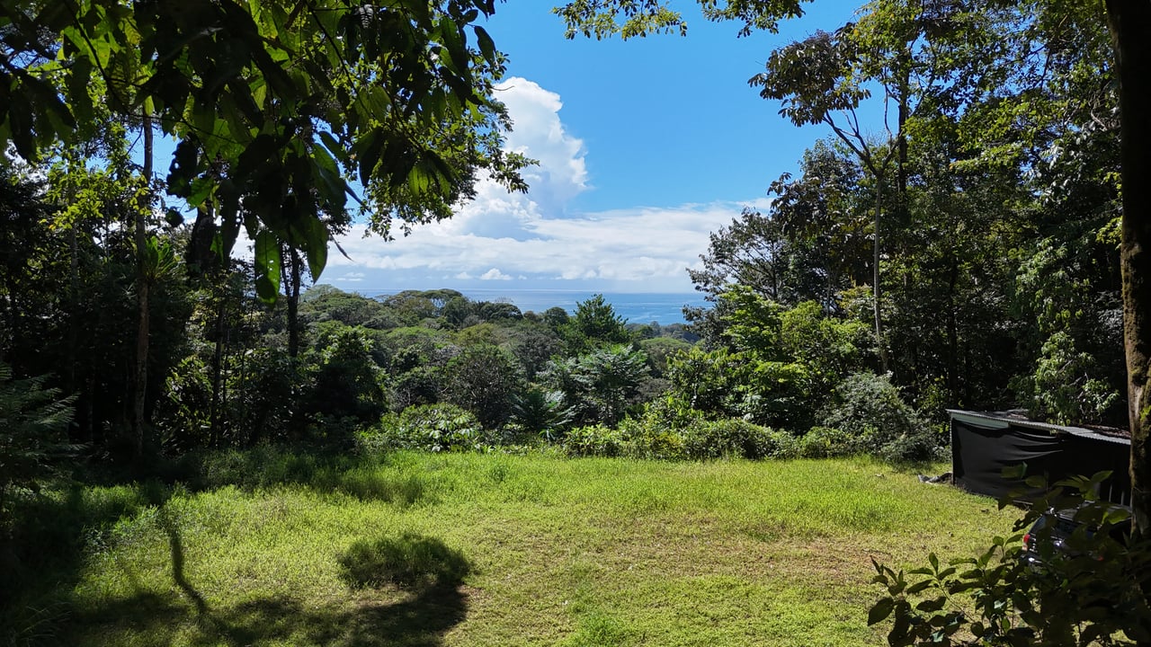 1.7 Acres Ocean View Lot with Producing Cabin in Uvita