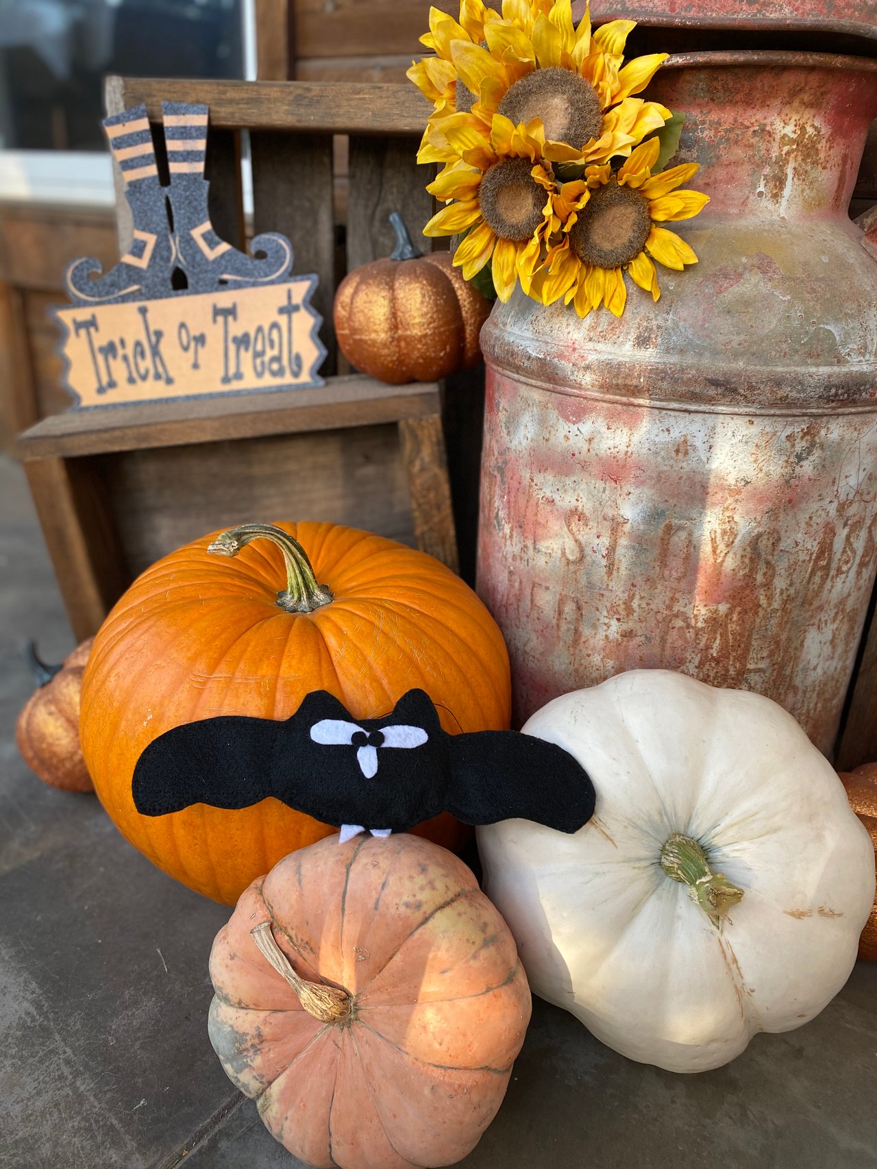 A Fall Weekend in Chico, Ca