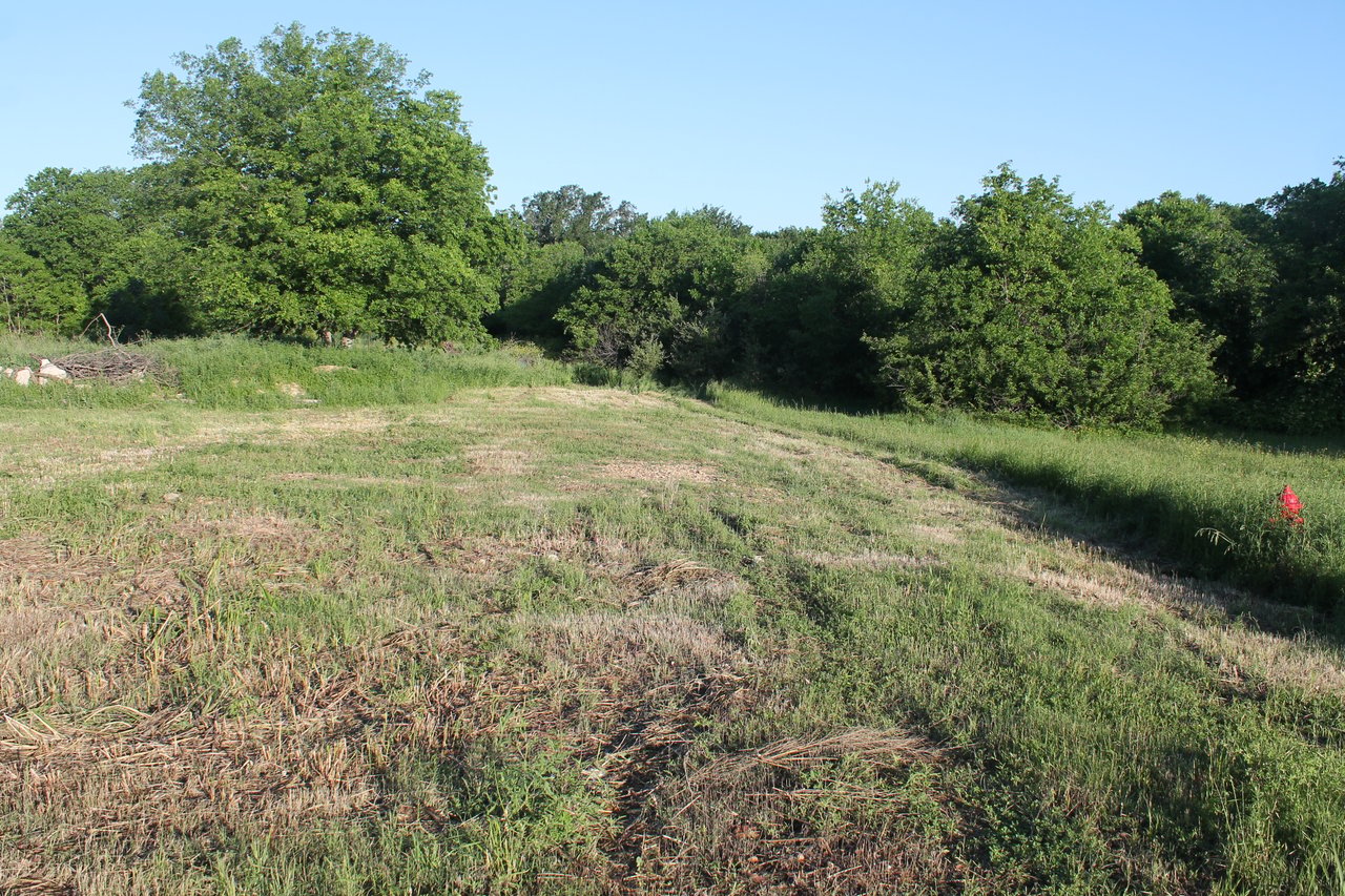 402 Carter Spur