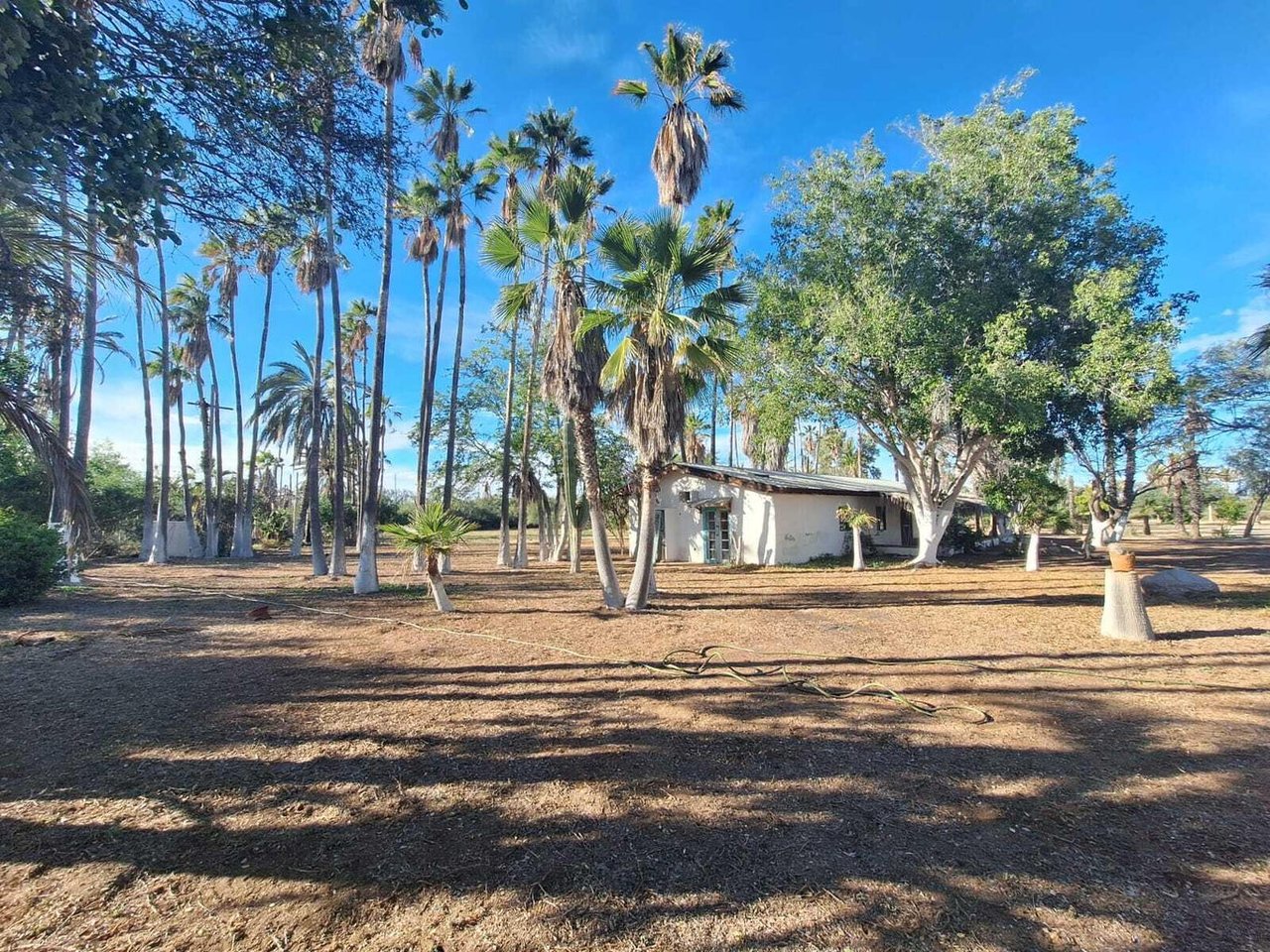 Compound Los Pinos