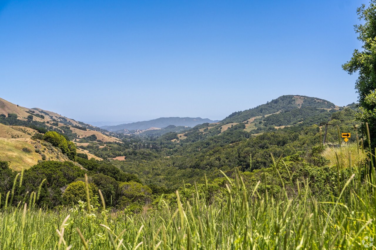 Rolling, wooded hills and golden slopes fill a sunny panoramic view of the Lucas Valley area.