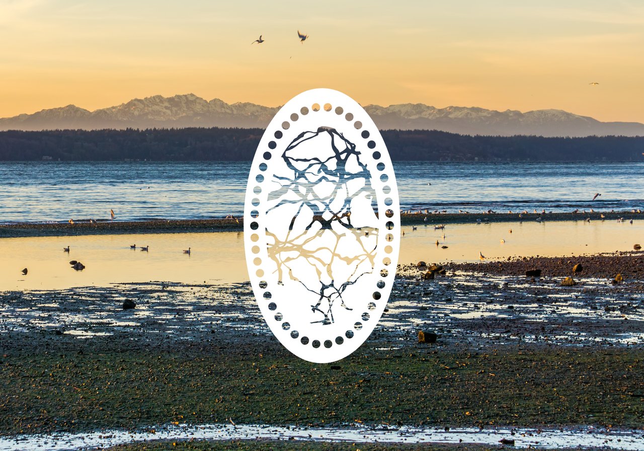 Living in Greenbank, Washington: A Neighborhood Guide for Homebuyers