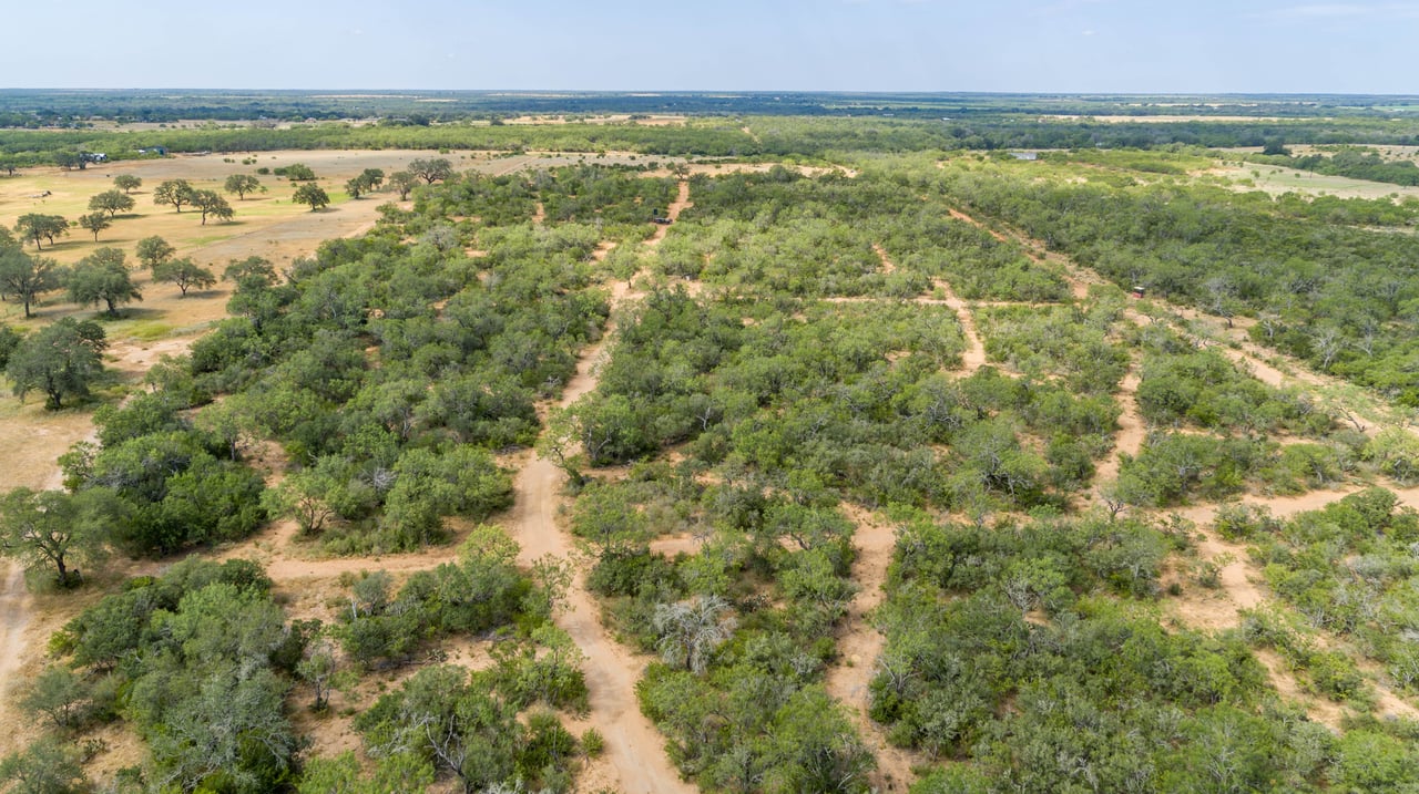 Oaks, Wildlife, & the Quiet of the Countryside | 26.99± Acres | Poteet, TX