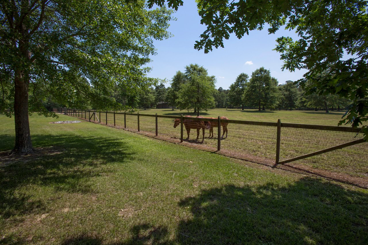 Equestrian Estate at 411 New Hope Church Road