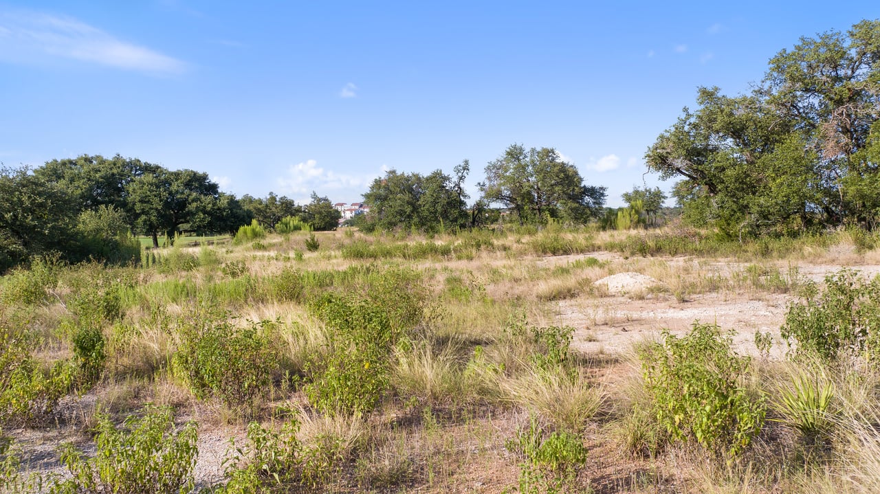 12801 Flowering Senna BND