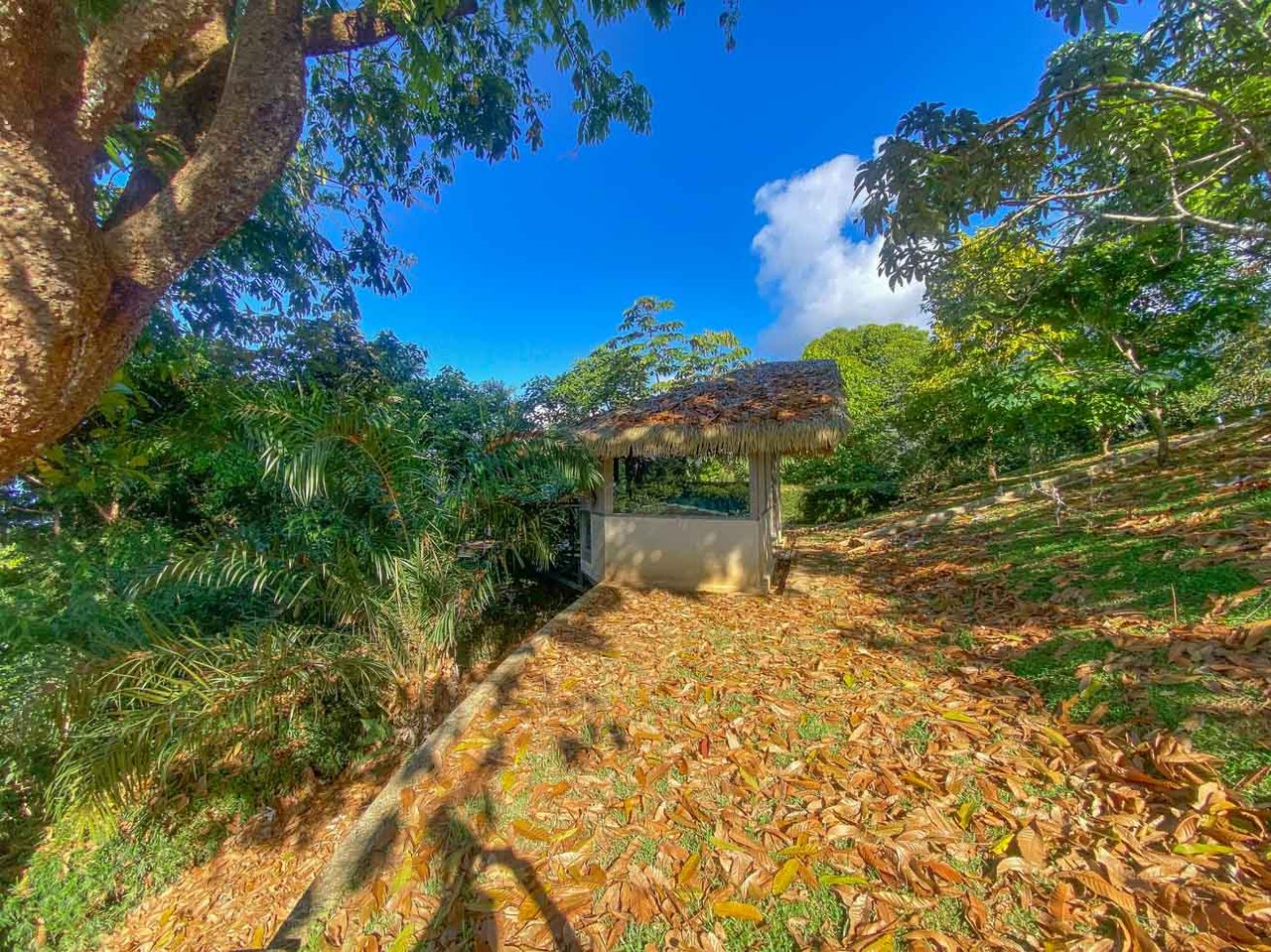 Ocean, Jungle & Mountain View Home in Ojochal | Protected Jungle Setting