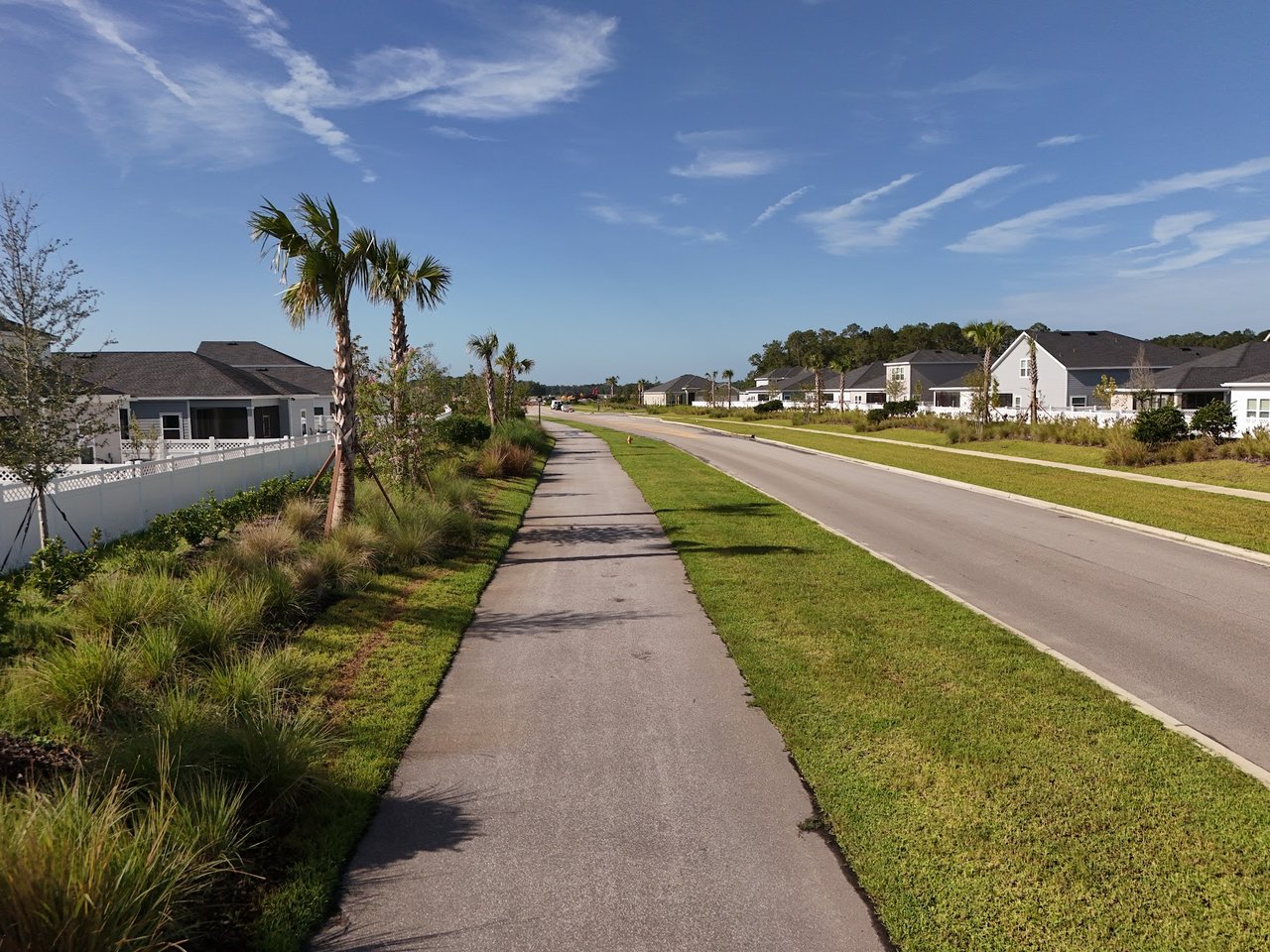 Residential street lined with detached homes, palm trees, and a broad sidewalk.