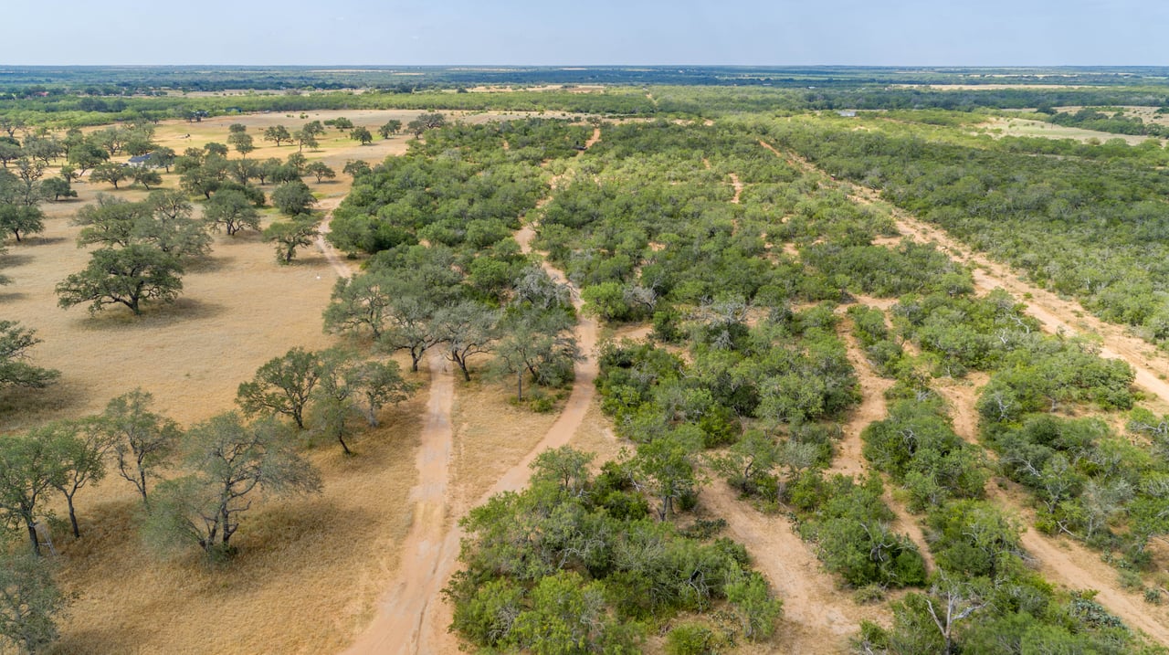 Oaks, Wildlife, & the Quiet of the Countryside | 26.99± Acres | Poteet, TX