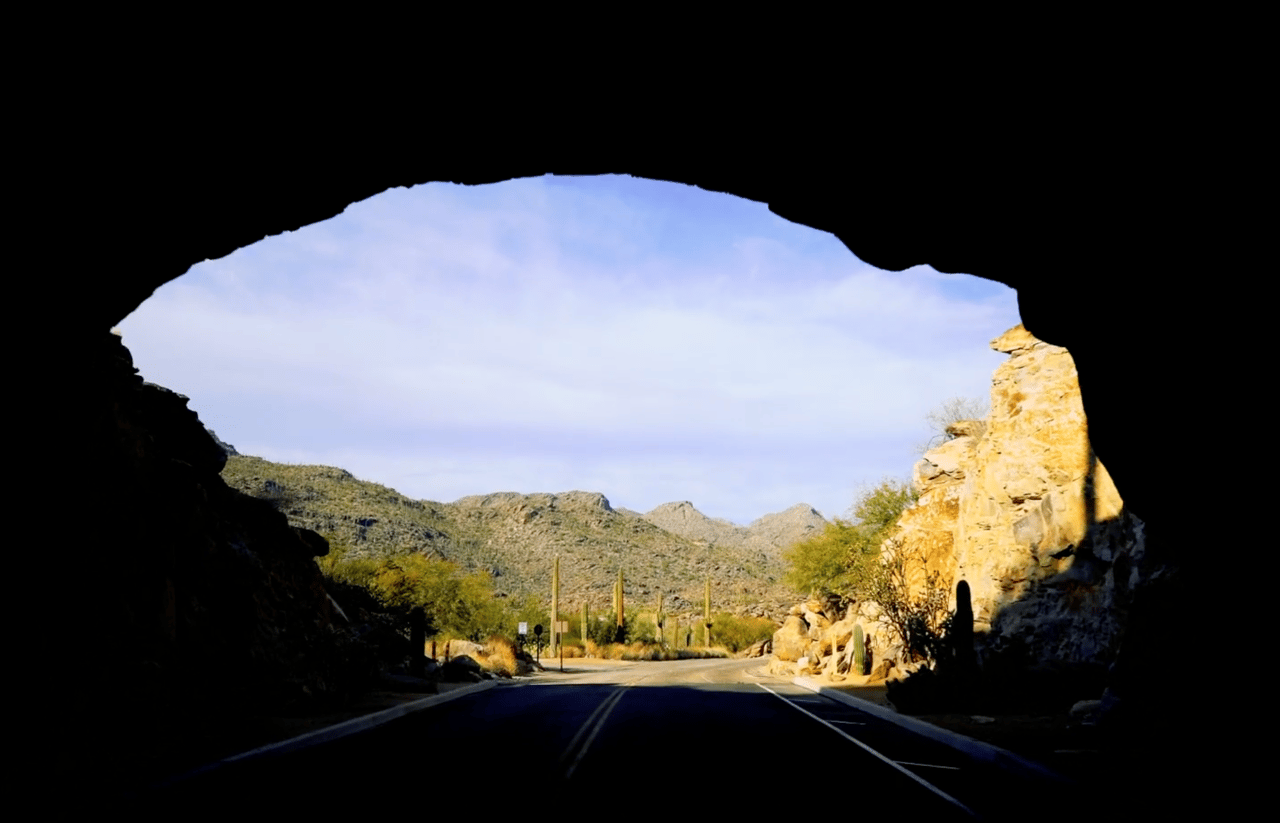 The Quiet Residents of Saguaro Ranch: Protecting the Sonoran Desert Tortoise