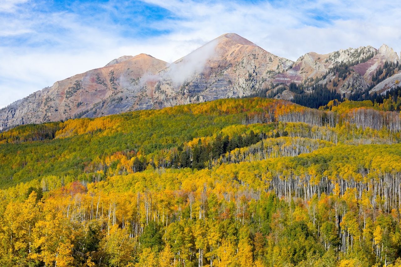 Kebler Pass in the Fall: Colorado’s Golden Wonderland