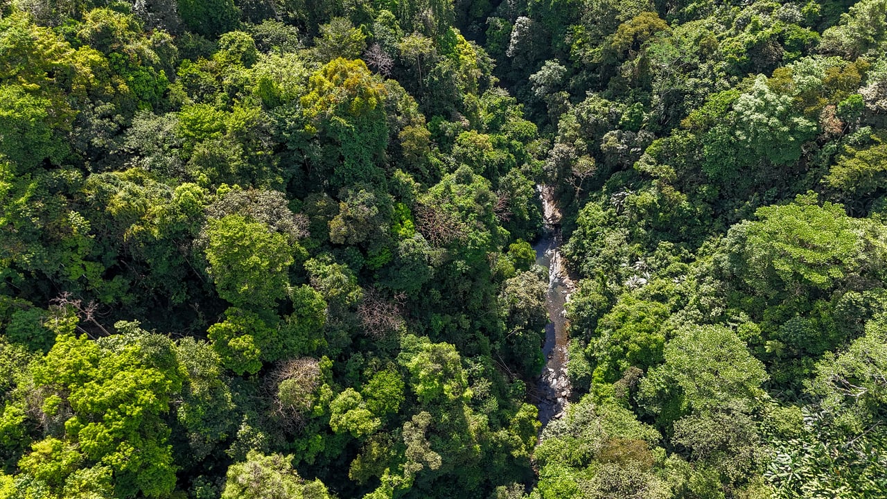 Jungle, Mountain & Valley View Lot with Two Large Plantels, Bordering a Crystal Mountain River with Swimholes & a Waterfall