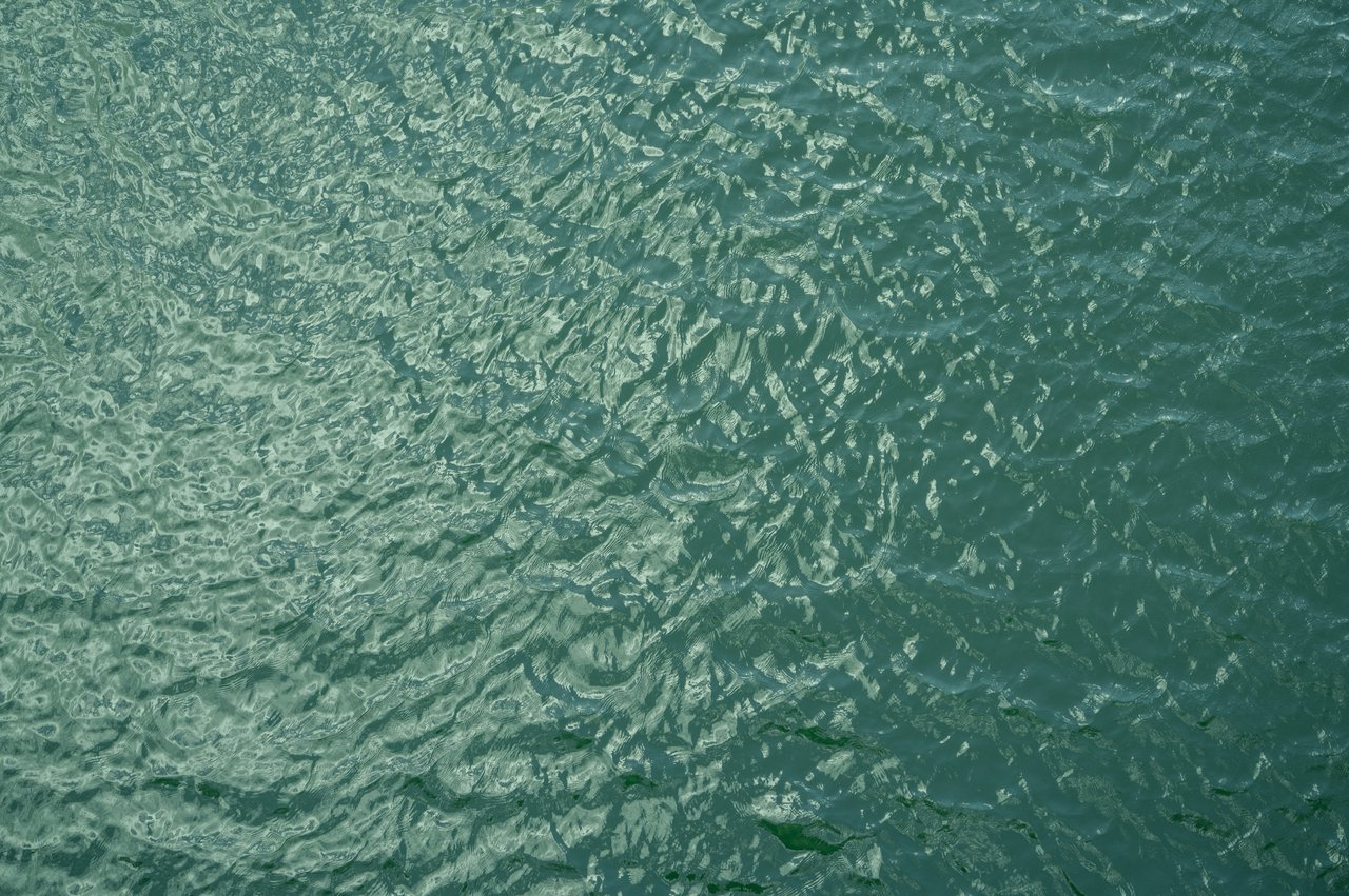 Rippling green-blue water with pale sunlight reflections.