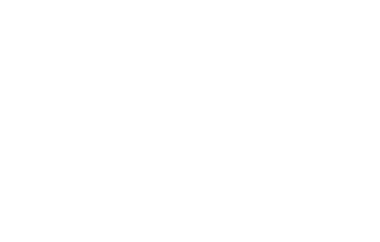 Light Logo