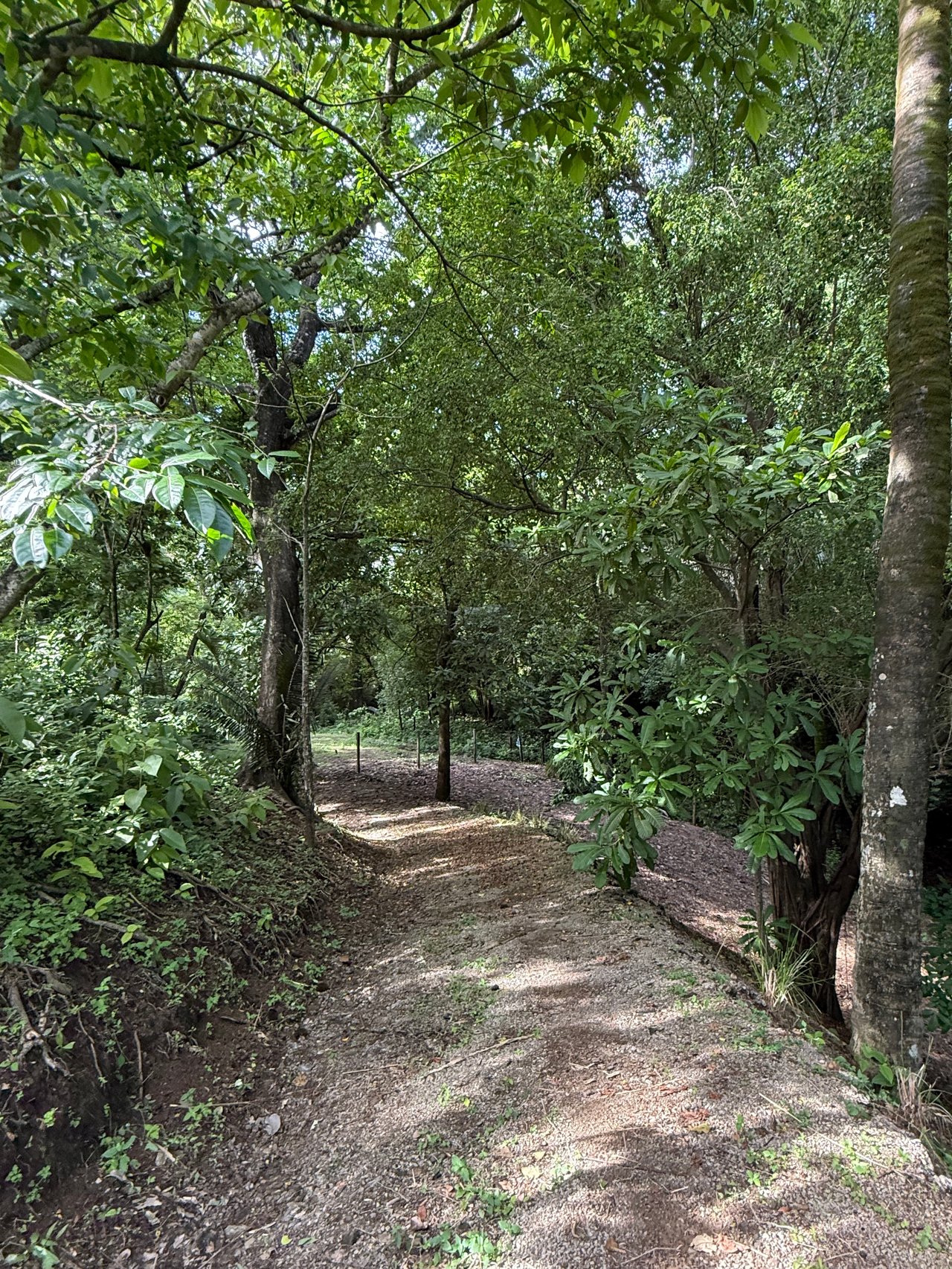 Lote en Nosara , Nosara, Guanacaste
