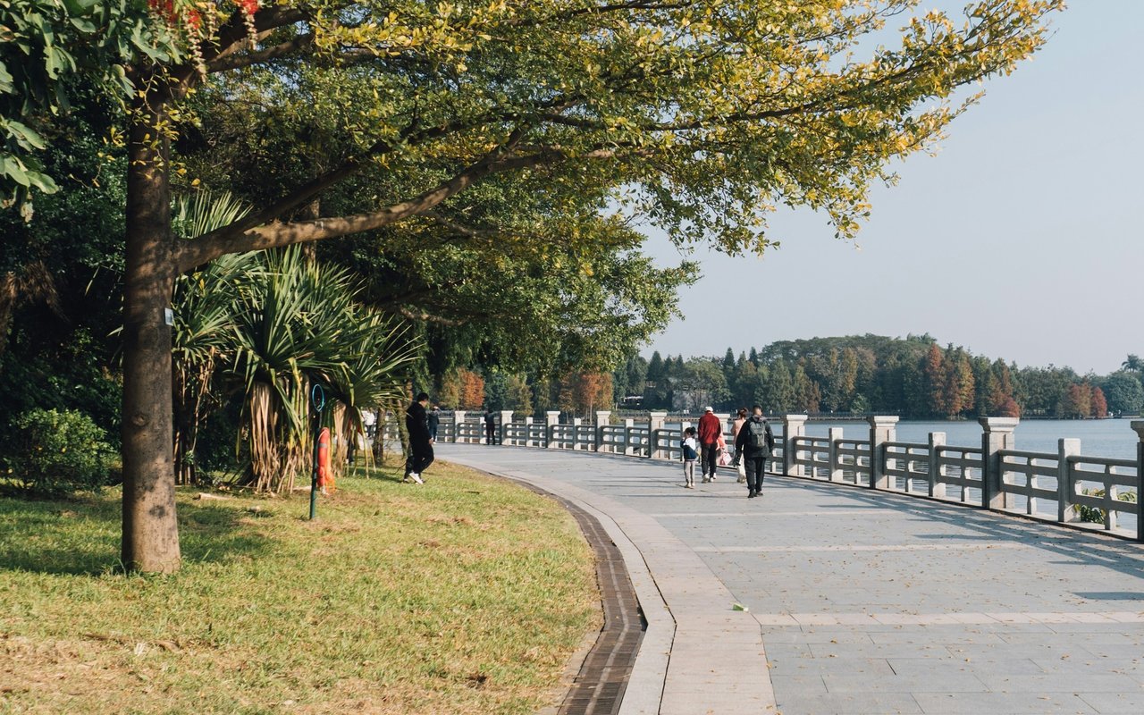 Waterfront promenade beneath leafy trees, with people walking beside a railing and calm water.