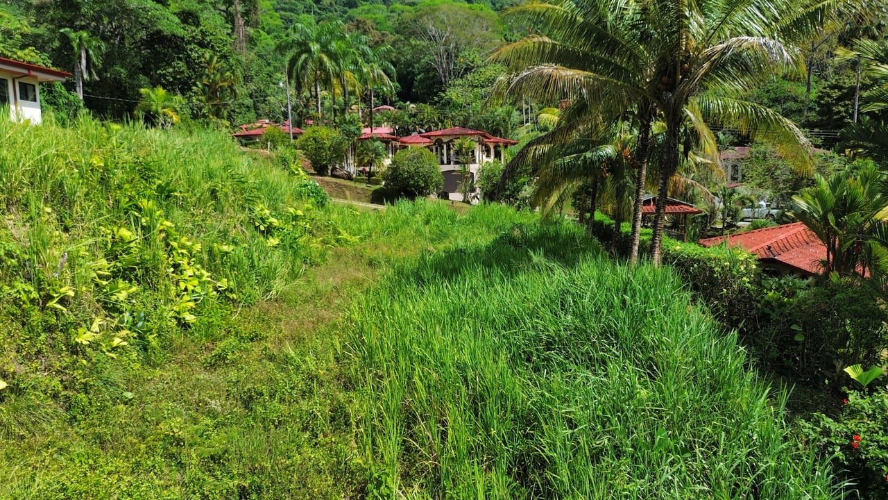 Peaceful Paradise Land in Ojochal with Budget-Friendly Options