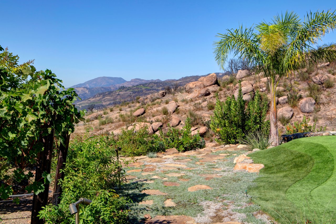 Luxurious Estate Above St. Helena