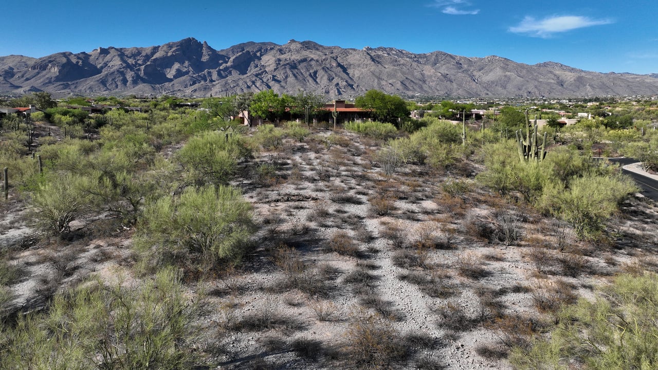 Thinking About Moving to Arizona? cover